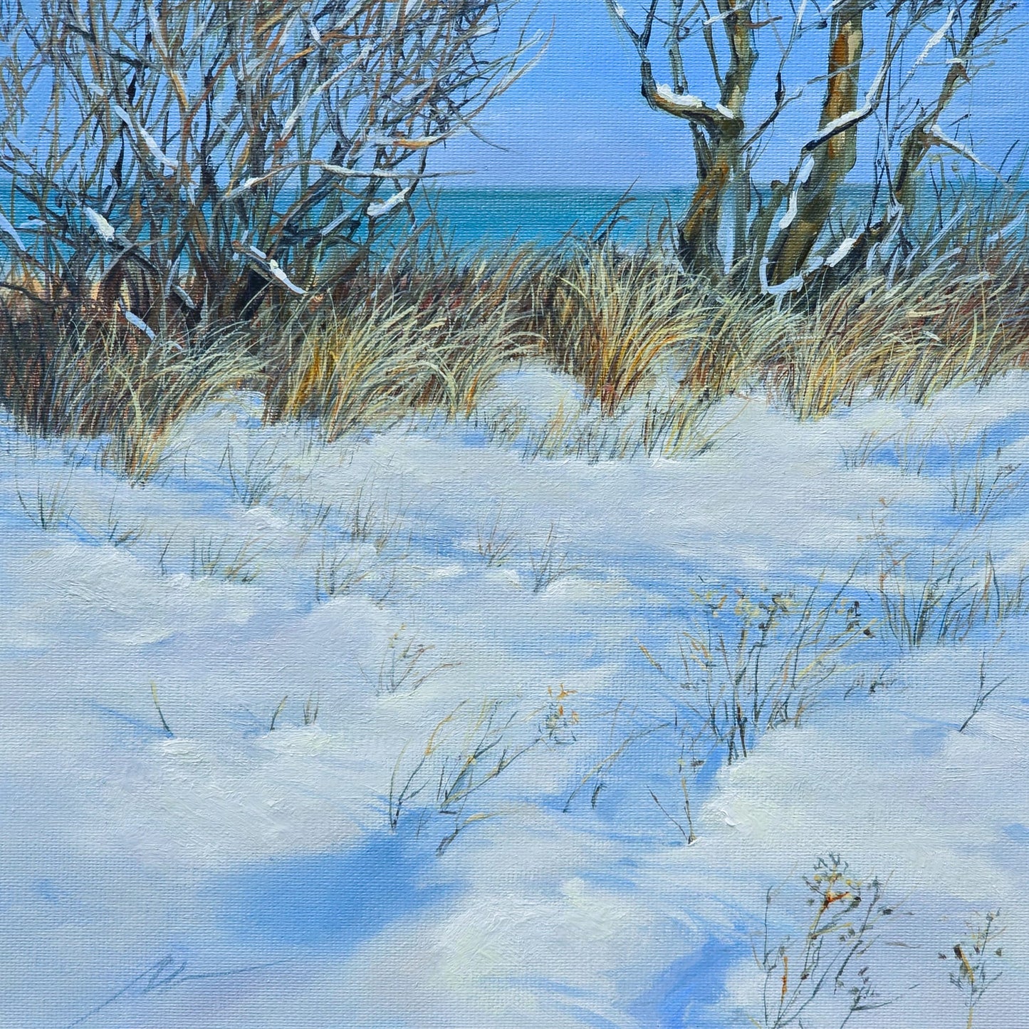 Winter