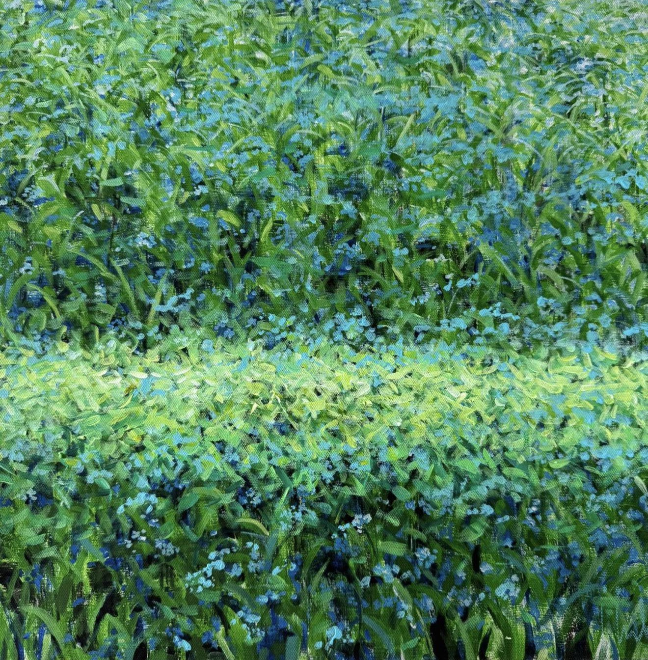 Forget me-nots II
