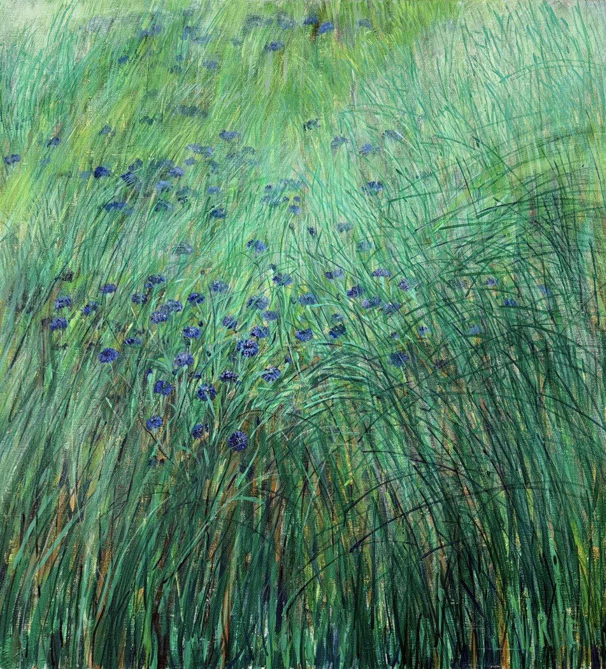 Meadow II