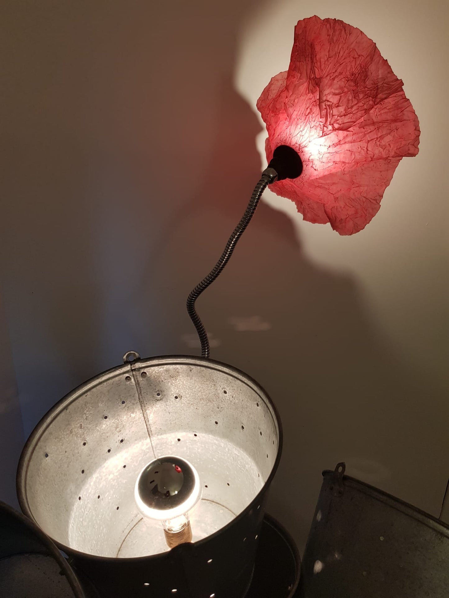 Кактус и мак