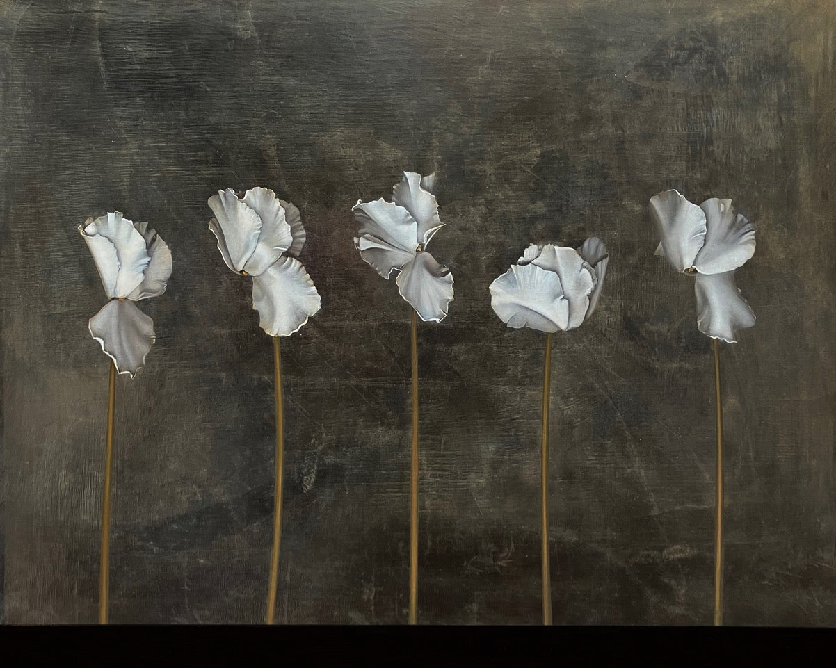 Cyclamen's