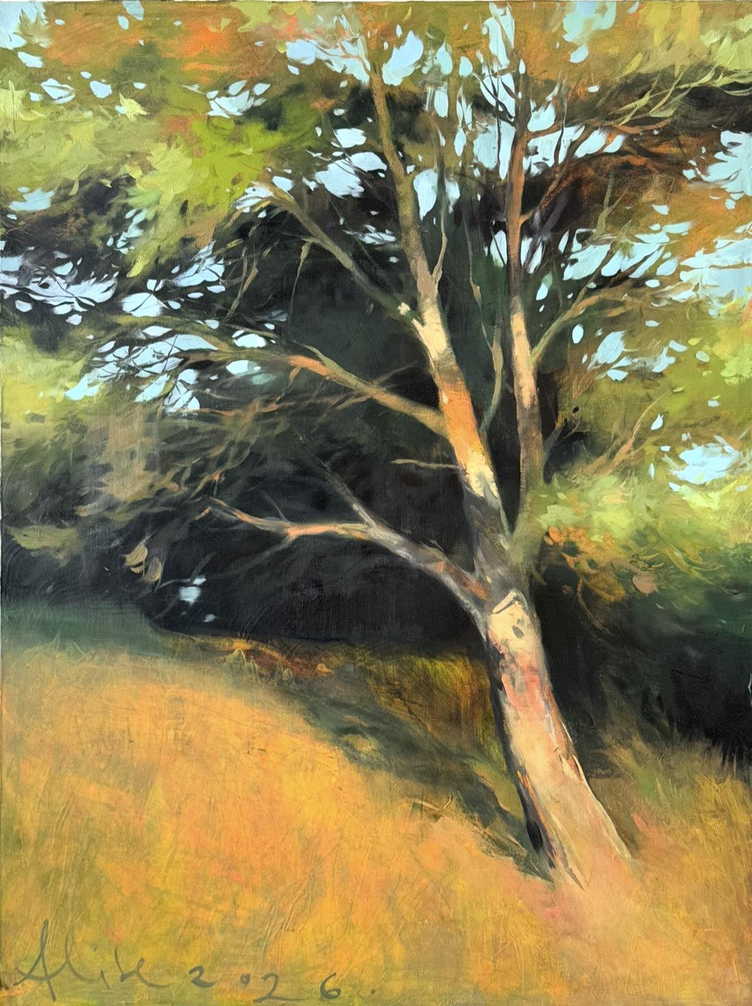 The beautiful tree