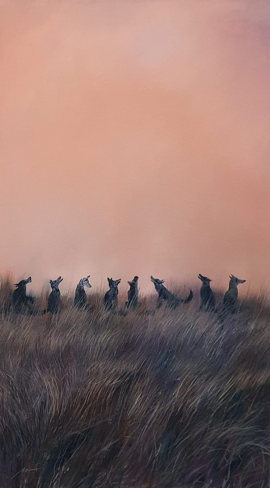 Night howlers