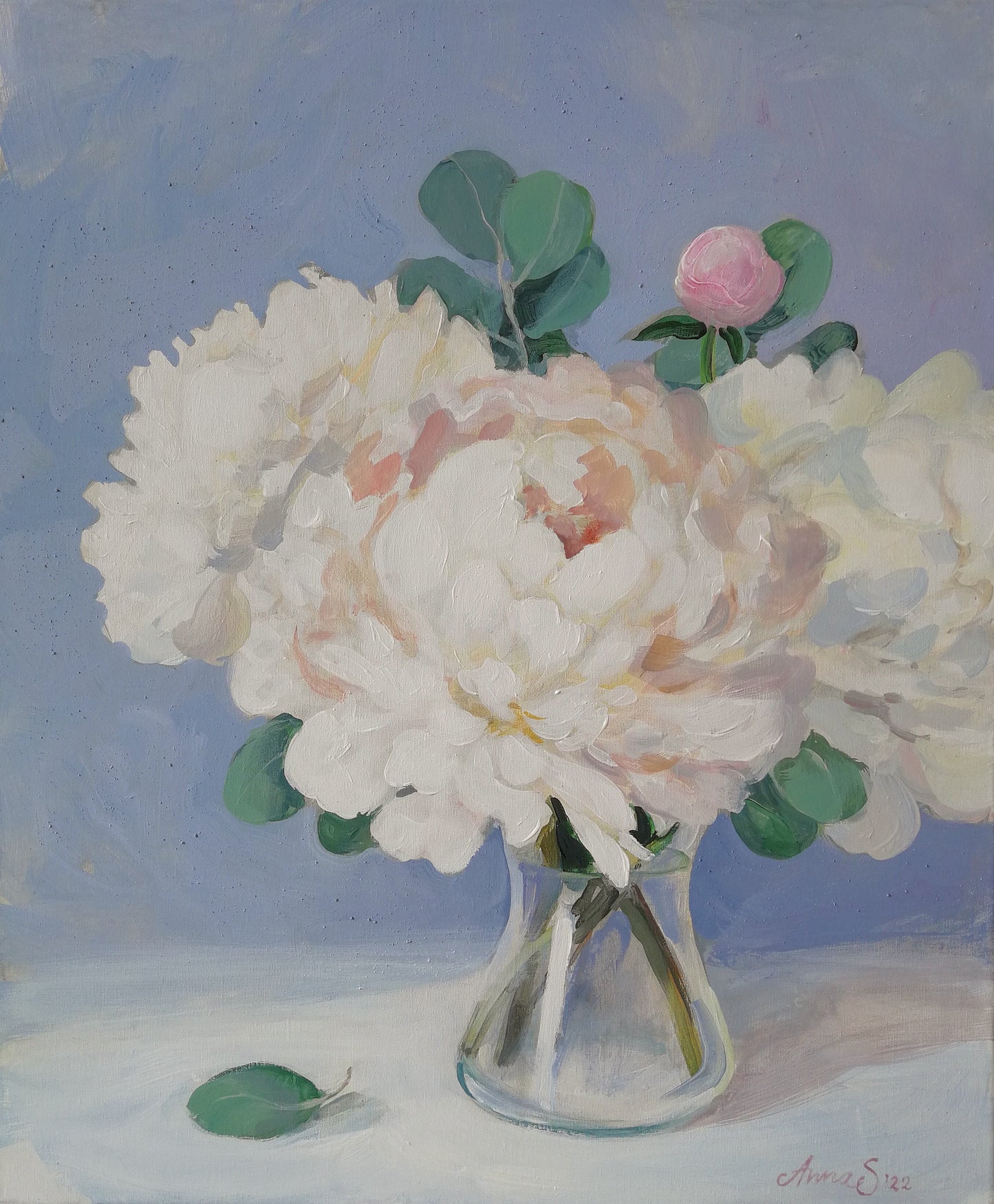 Пионы на синем фоне