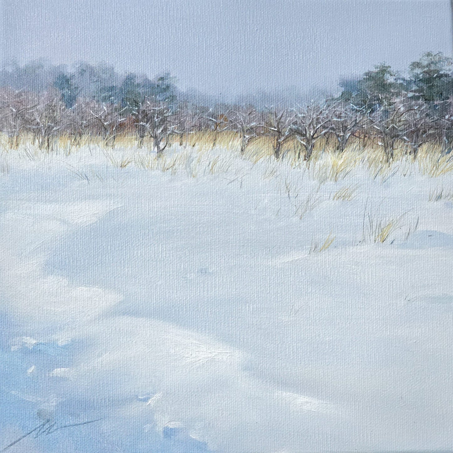 Apple orchard