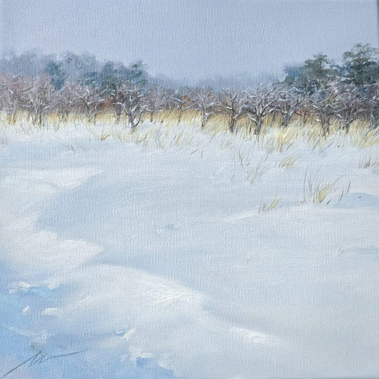 Apple orchard