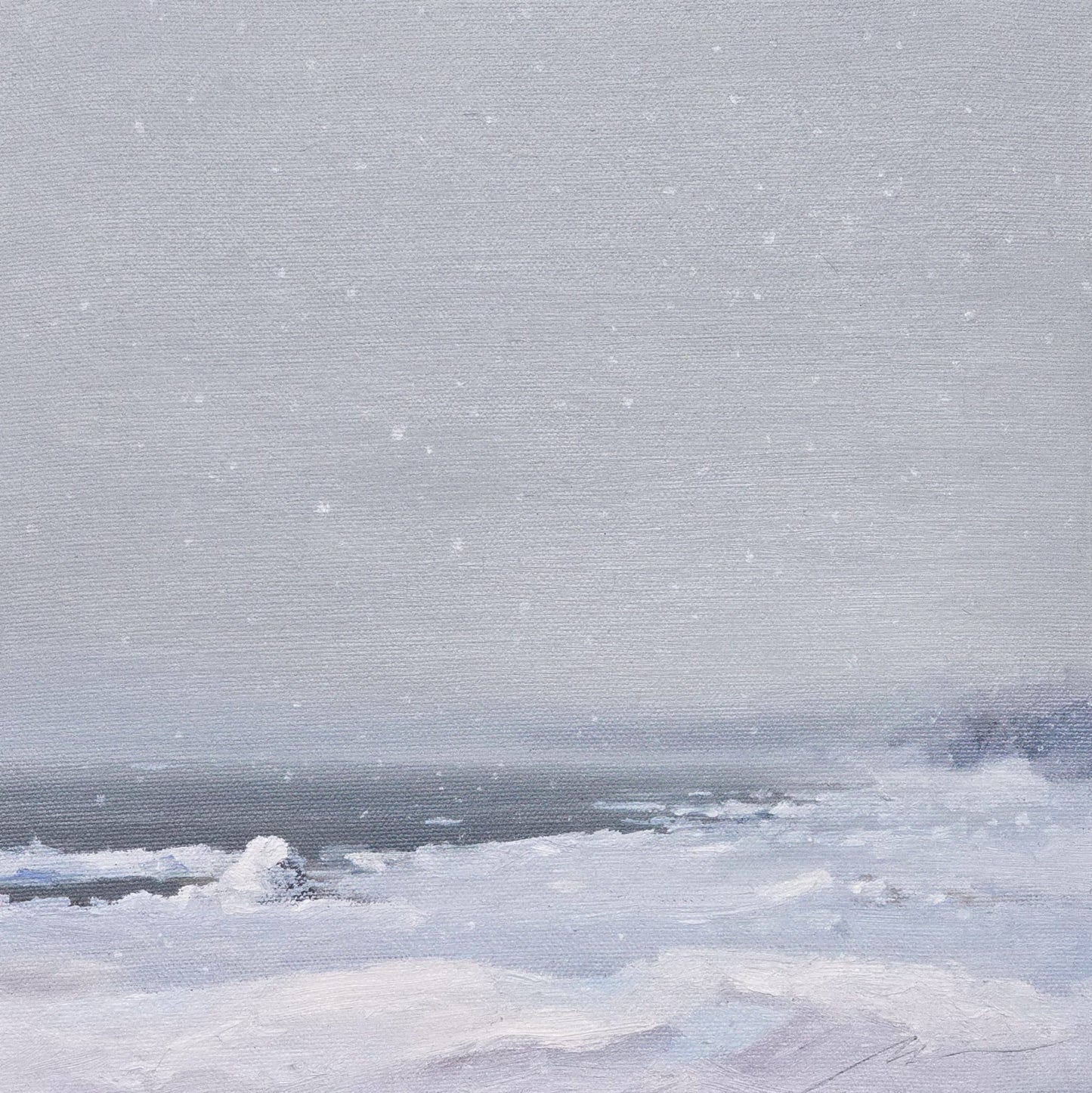 Light blizzard