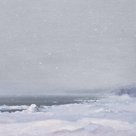 Light blizzard