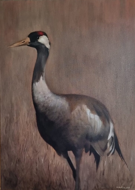 Song across the harvested fields