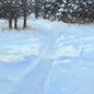 Real winter