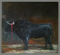 Black Taurus