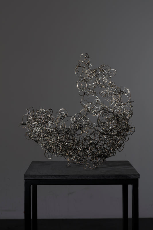 Duplication syndrome