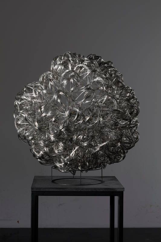 Duplication syndrome