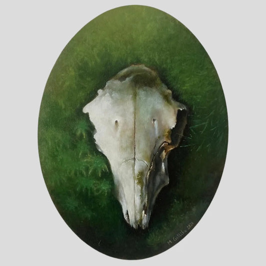 Izolde, the moose skull in the forest moss