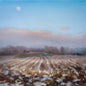 Cold light