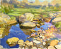 Stones by the river