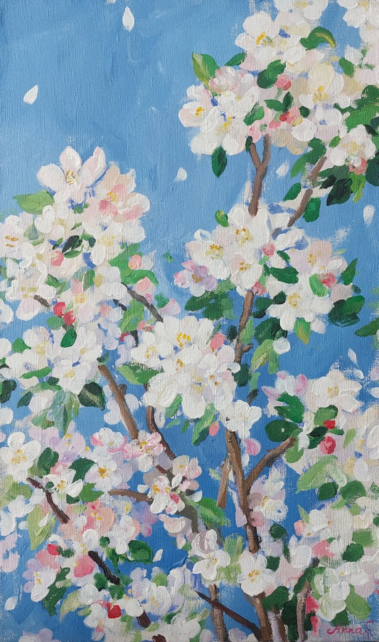 Apple blossoms