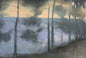Pine trees in the evening