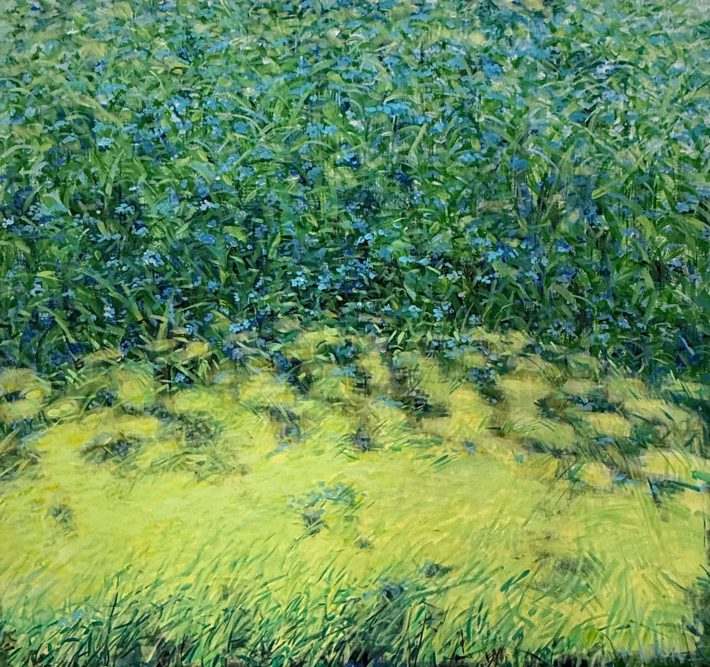 Blue-yellow