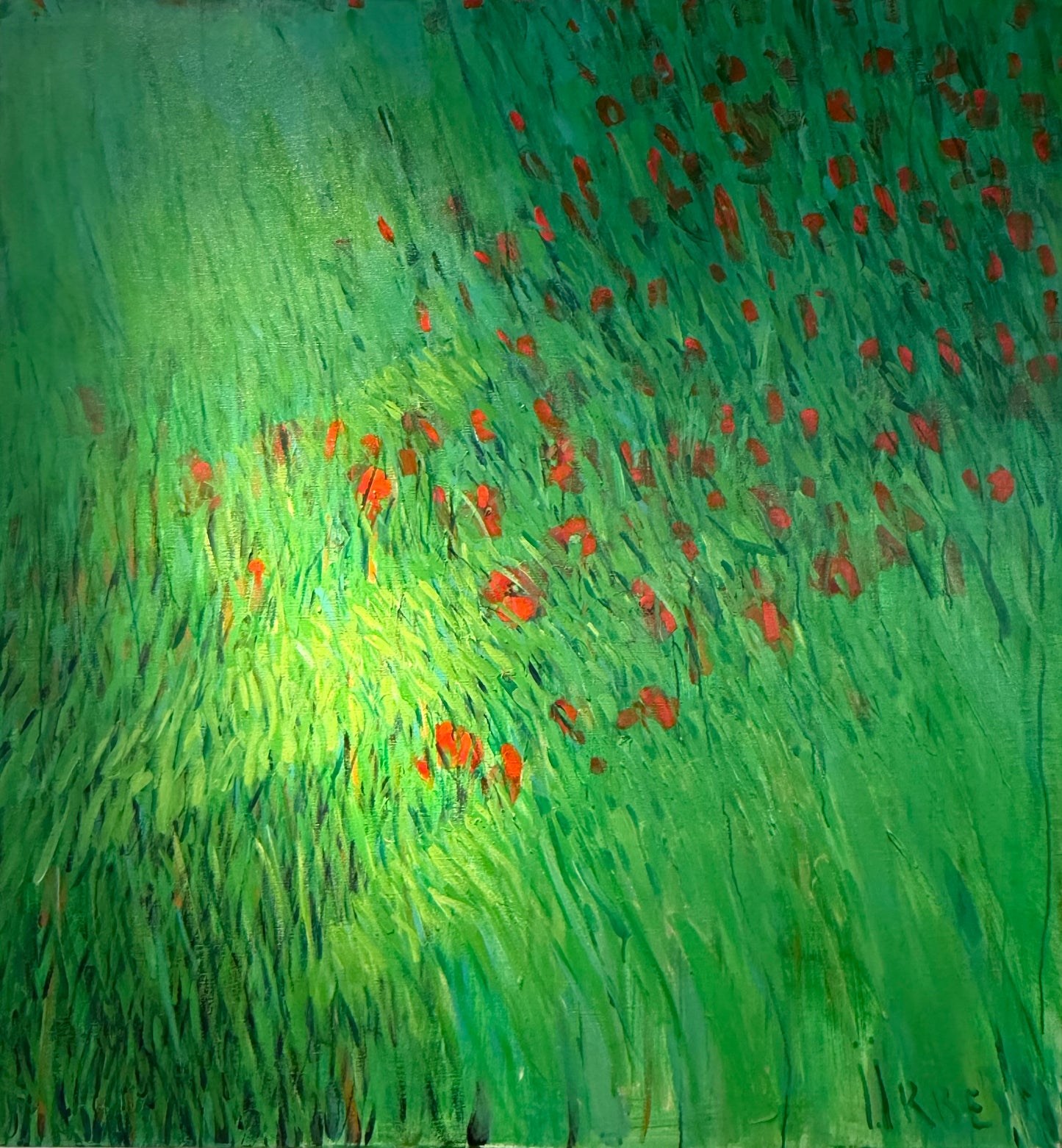 Poppies
