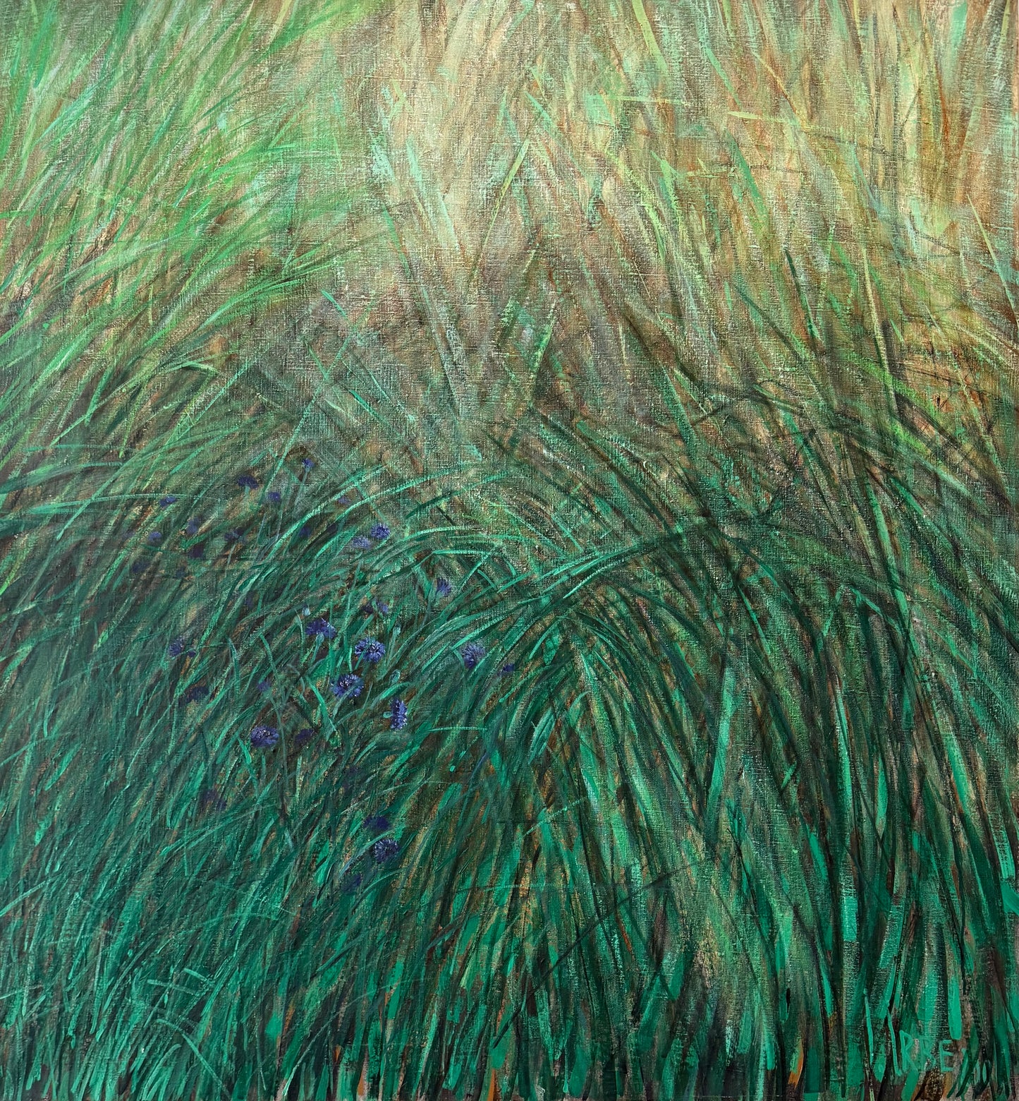 Meadow III