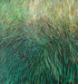 Meadow III