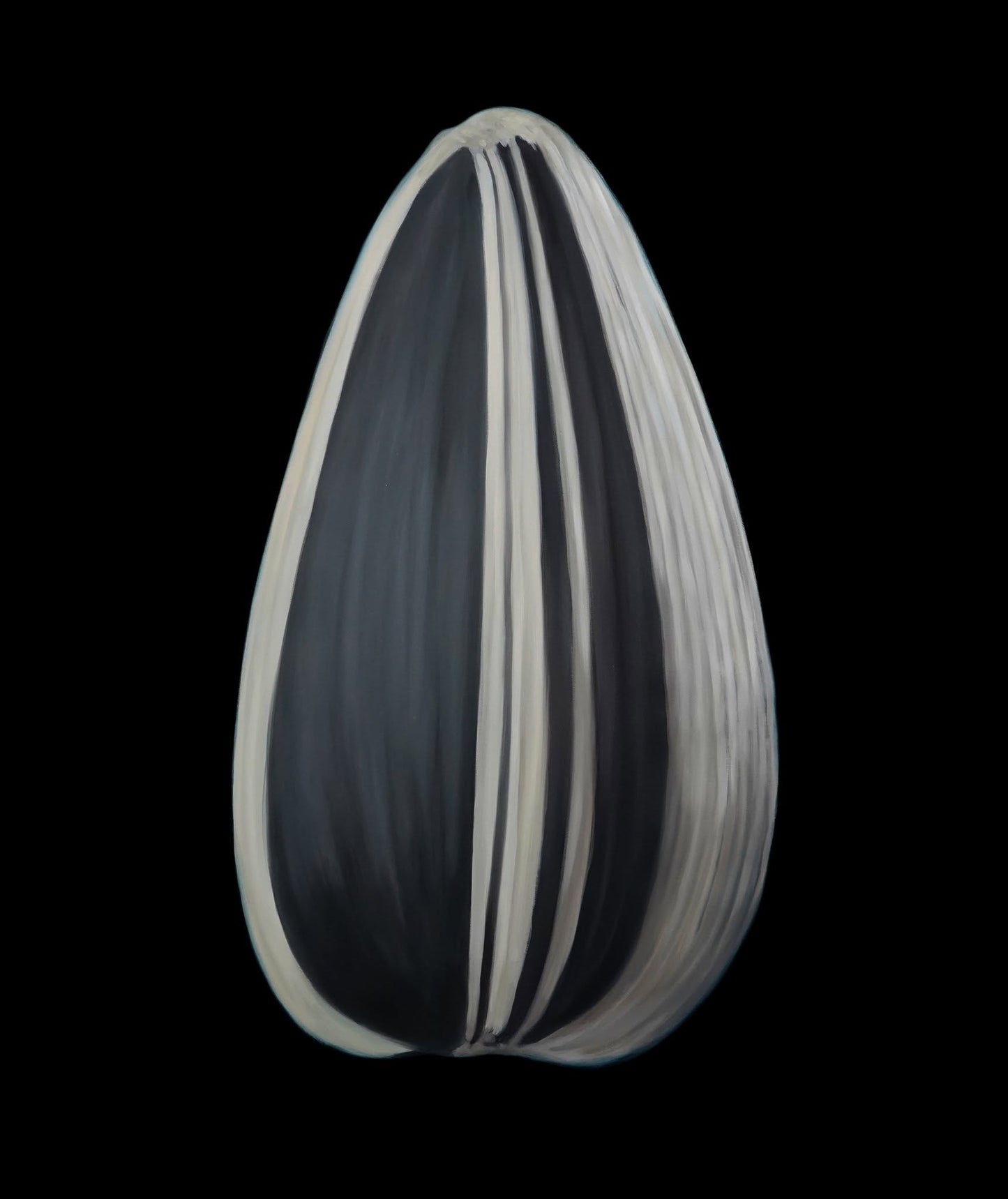 Sunflower Seed
