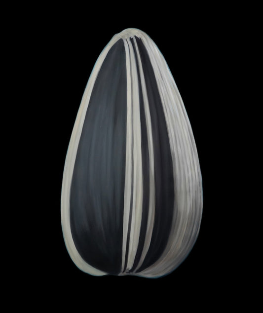 Sunflower Seed