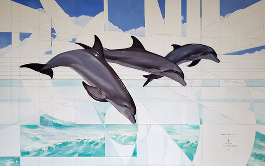 Tursiops Truncatus – Ocean