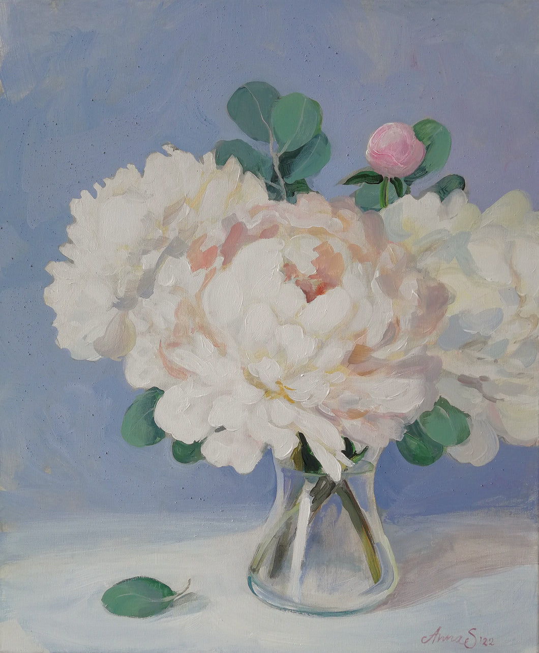 Peonies on a blue background